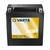 Aku Powersports AGM 14Ah 210A 150*87*161 ,12V LF + -
